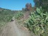 RANDONNEE DE PAULILLES A BANYU