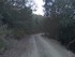 RANDONNEE A MONTAURIOL EN CE D