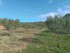 RANDONNEE DE 9 KMS AU ROC DE M
