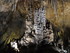 VISITE DES GROTTES DE CANALETT