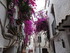 VISITE DE ROSAS, CADAQUES ET P