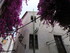 VISITE DE ROSAS, CADAQUES ET P