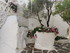 VISITE DE ROSAS, CADAQUES ET P