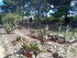 IDEE DE SORTIE AU JARDIN EXOTI