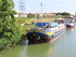 JOUNEE EN CAMARGUE DU DIMANCHE