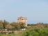JOUNEE EN CAMARGUE DU DIMANCHE