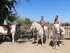 JOUNEE EN CAMARGUE DU DIMANCHE