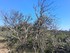 RANDONNEE AU CAUSSE EN CE DIMA
