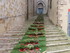 JOURNEE A LA FÊTE DES FLEURS 