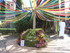 JOURNEE A LA FÊTE DES FLEURS 