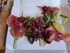 FÊTE DE LA CERISE A CERET EN 