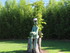 JOURNEE AU JARDIN SAINT ADRIEN
