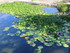 JOURNEE AU JARDIN SAINT ADRIEN