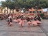 SOIREE FOLKLORIQUE CATALANE AV