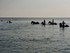 RENCONTRE INSOLITE A LA MER ME