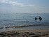 RENCONTRE INSOLITE A LA MER ME