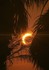 ECLIPSE SOLAIRE DU MERCREDI 12