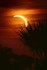 ECLIPSE SOLAIRE DU MERCREDI 12