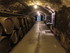 JOURNEE AUX CAVES DE CODORNIU 