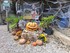 DECORS D'HALLOWEEN AU JARDIN E