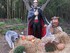 DECORS D'HALLOWEEN AU JARDIN E