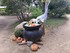 DECORS D'HALLOWEEN AU JARDIN E