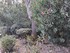 DECORS D'HALLOWEEN AU JARDIN E