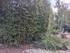 DECORS D'HALLOWEEN AU JARDIN E
