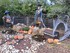 DECORS D'HALLOWEEN AU JARDIN E