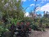 DECORS D'HALLOWEEN AU JARDIN E