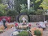 DECORS D'HALLOWEEN AU JARDIN E