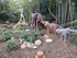 DECORS D'HALLOWEEN AU JARDIN E