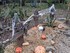 DECORS D'HALLOWEEN AU JARDIN E