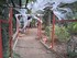 DECORS D'HALLOWEEN AU JARDIN E