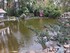 DECORS D'HALLOWEEN AU JARDIN E