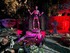 DECORS D'HALLOWEEN AU JARDIN E