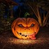 DECORS D'HALLOWEEN AU JARDIN E
