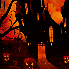 FÊTE D'HALLOWEEN EN CE SAMEDI