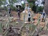 DECORS D'HALLOWEEN AU JARDIN EXOTIQUE DE