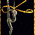 CIRQUE DE REVERIE