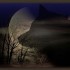 Hurler à la lune...