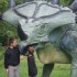 cardoland