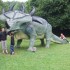cardoland
