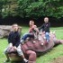 cardoland