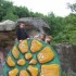 cardoland