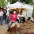 maxou 2008