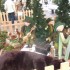 marché de noel de montbeliard