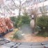 marché de noel de montbeliard