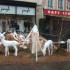 marché de noel de montbeliard