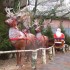 marché de noel de montbeliard